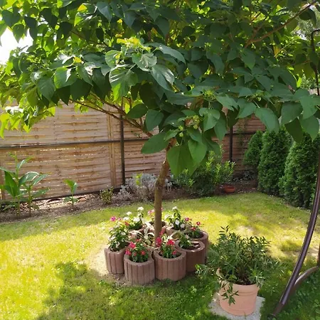 Apartament Forras-g Vendeghaz