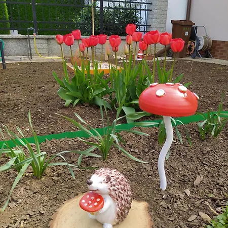 Forrás-g