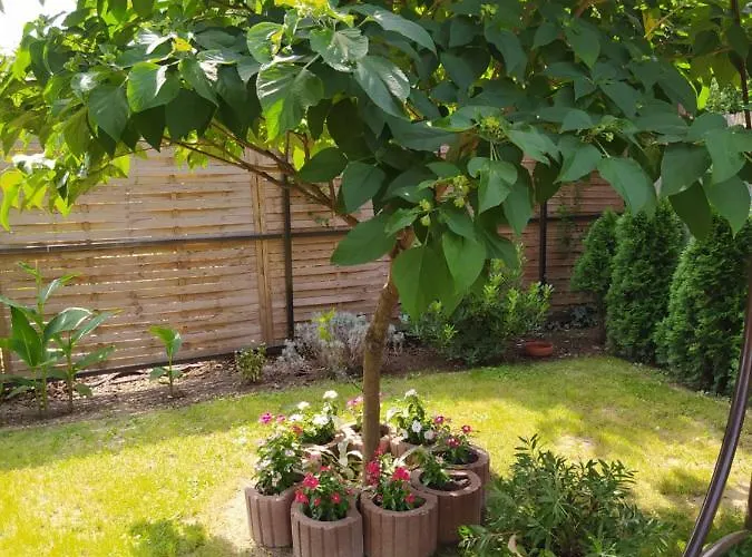 Lägenhet Forras-g Vendeghaz