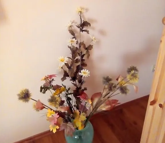 Forras-g Vendeghaz *